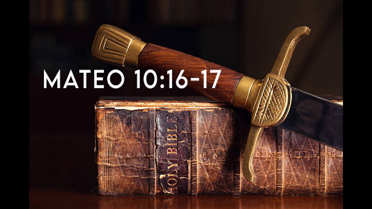 Mateo 10:16-17