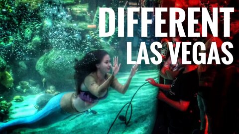 Vegas LIVESTREAM - Mermaids, Aquariums and Hunting…? 😮😯 1080p 60fps