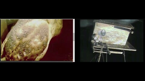 Wake up kids! The night is dark and it's time to eat. 5-13-20