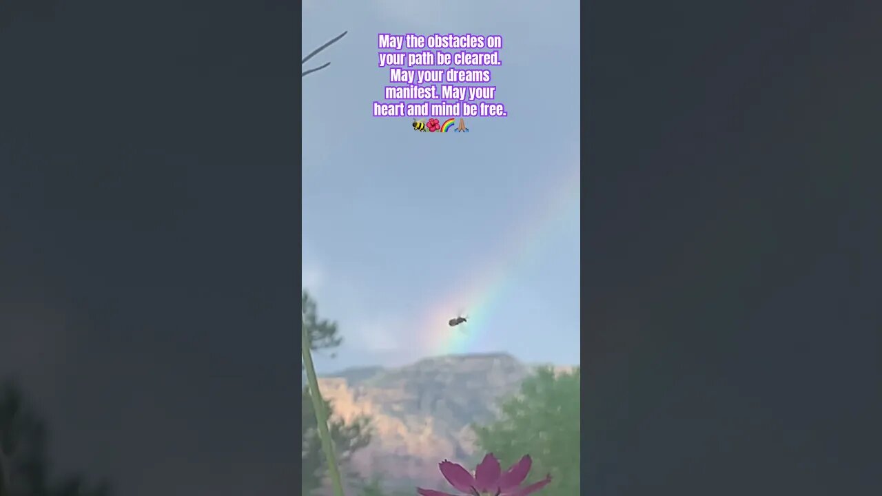 A moments beauty #sedona #rainbowblessings #sedonaangel #elizabethlighttarot 🪽
