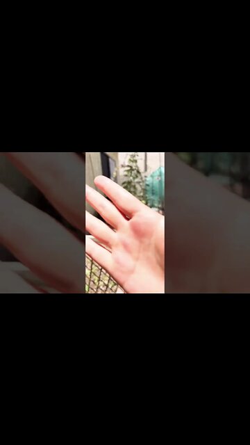 Arizona backyard garden project