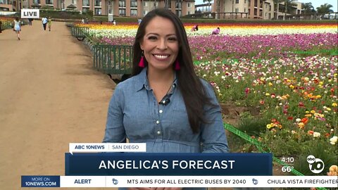 Angelica's Thursday Forecast