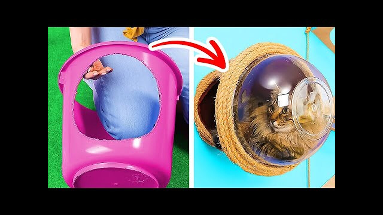 CUTE DIY CAT HOUSE