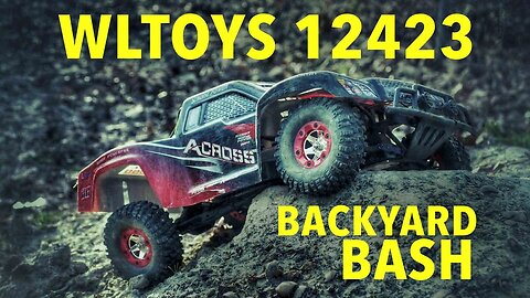 WLTOYS 12423 Trophy Truck Backyard Bash