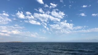 On the Level : Teddy Bass