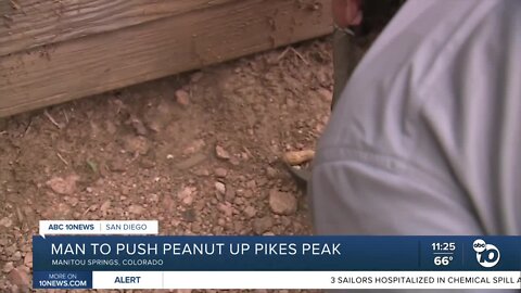 Man pushing peanut up Pike's Peak