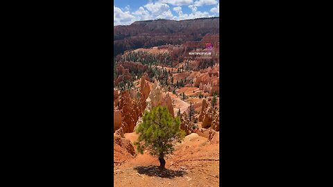Could you look at this view everyday? I still can’t believe how beautiful Bryce Amphitheater is
