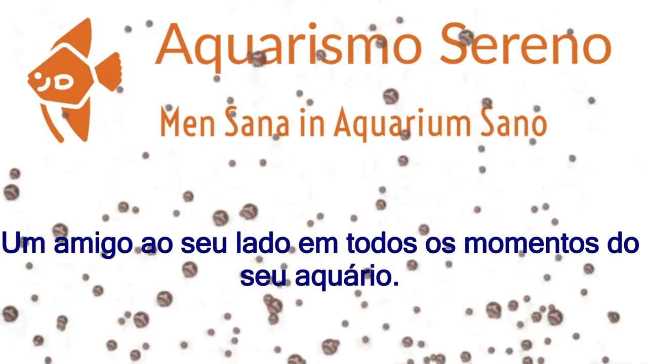 Aquarismo Sereno: Mais Que Canal, Seu Amigo Aquarista no Youtube