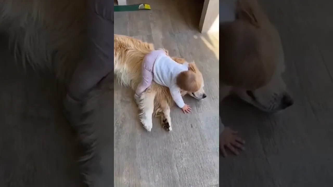 Sometimes you just need a hug.. 😊 #shorts #kids #tiktok #golden