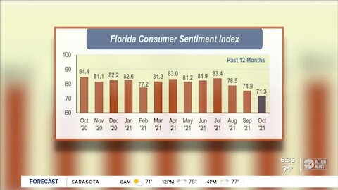 As holiday shopping season approaches, Fla. consumer confidence declines again