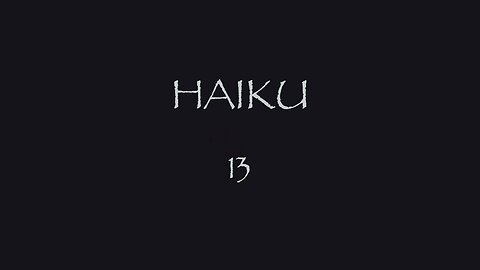 HAIKU 13