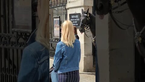 Horse poking its Tongue out #horseguardsparade