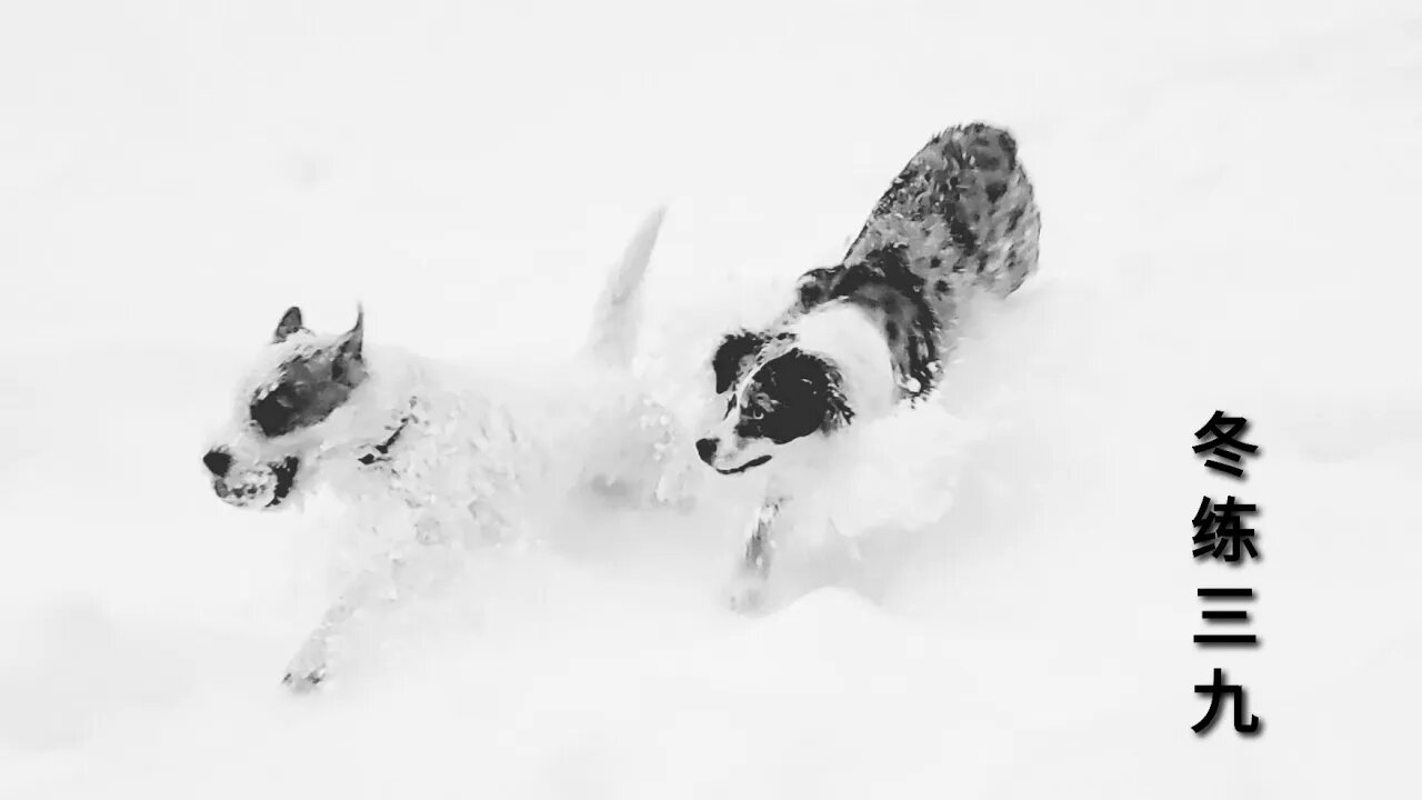 Ares practices in the snow harder than Rocky Balboa trains for the No.1