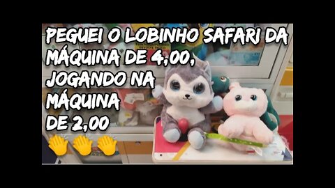 PUXANDO O LOBINHO SAFARI DA MÁQUINA DE 4😱👏👏