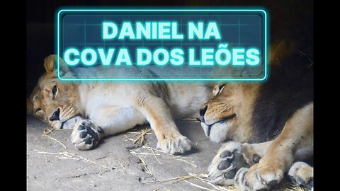 Daniel na Cova dos Leões - Como Daniel tinha intimidade com Deus?