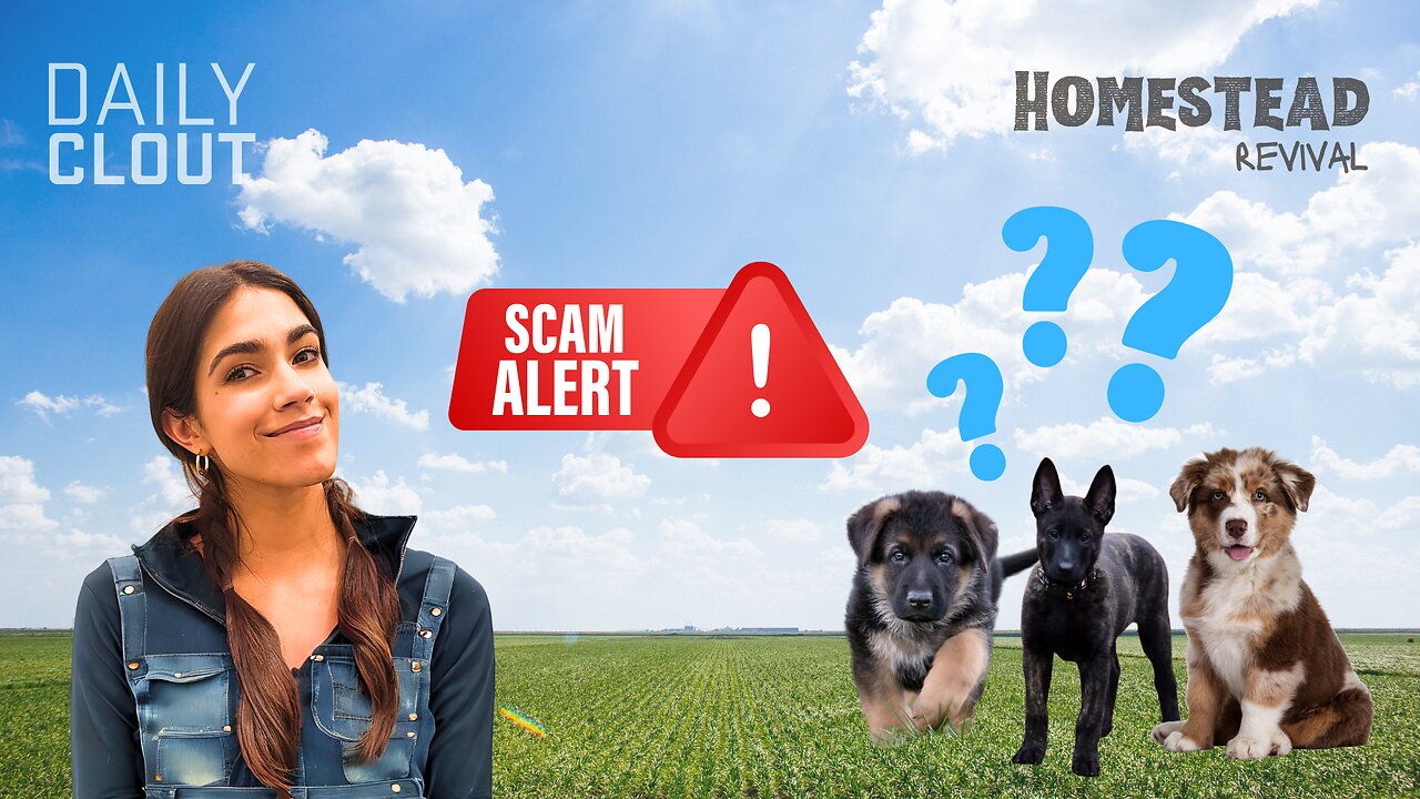 "Dog Breeder SCAMS and How We Got Our New Puppy!"