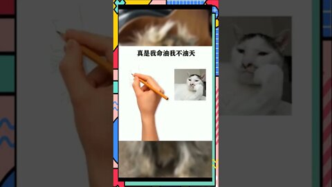 那些潦草的猫！这是你最喜欢的#可爱的宠物#猫#猫#喵星#科普