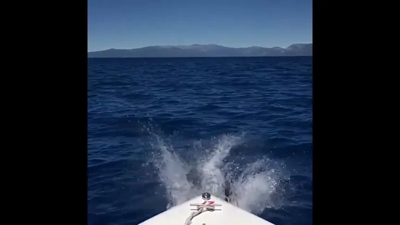 Fishing Chicks Jump Inside the Sea in Austin