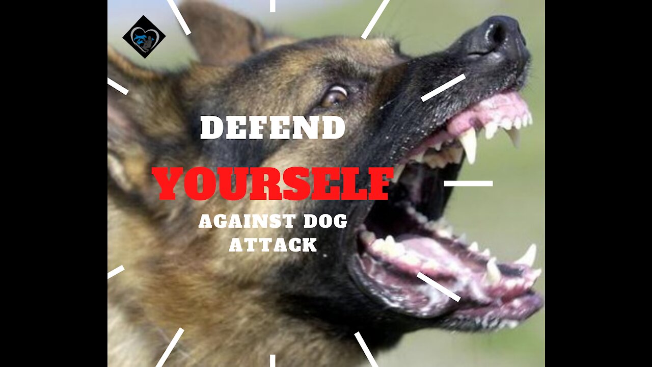 How to defend against a dog. Self defense against dog attack