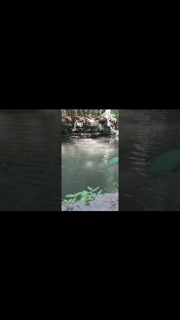 ASMR | Nature Sounds | Water