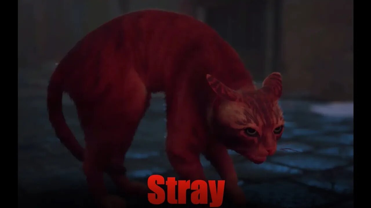 Stray - Part 1. First game play.