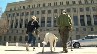 Sheboygan County Veterans Court brings in service animal for first time