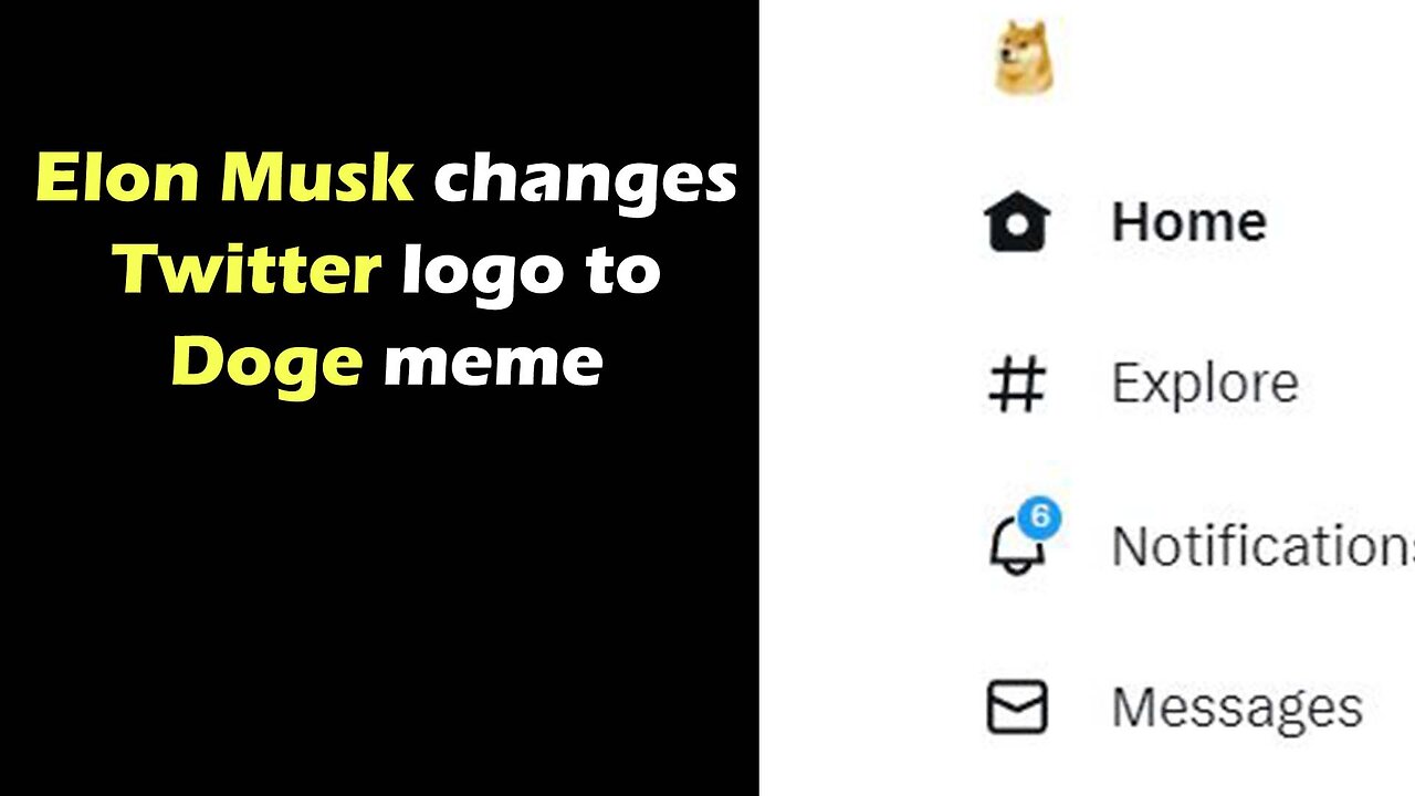 Elon Musk changes Twitter logo to doge meme