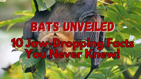 Bats Unveiled: 10 Jaw-Dropping Facts You Never Knew!