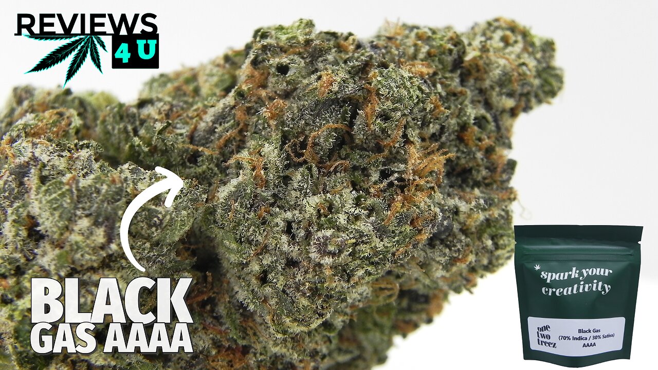 BLACK GAS ⛽ AAAA REVIEW | THC REVIEWS 4 U