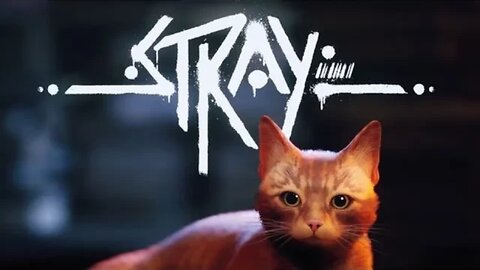 Stray Gameplay em PT BR Parte 3 4K 60FPS Sem Comentários