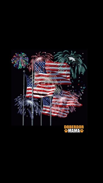 Ebene's Pawtriotic 4th of July