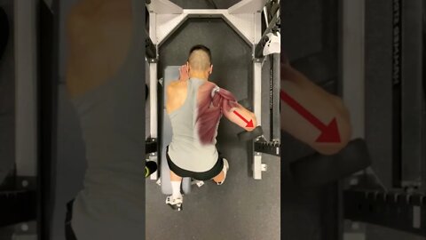 ❌ STOP FLARING YOUR ELBOWS DURING DUMBBELL ROWS!