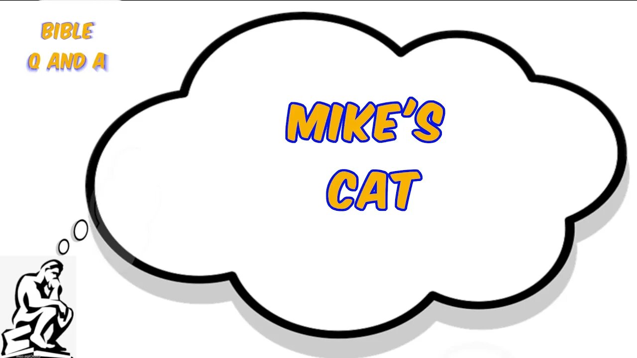 Mike's Cat