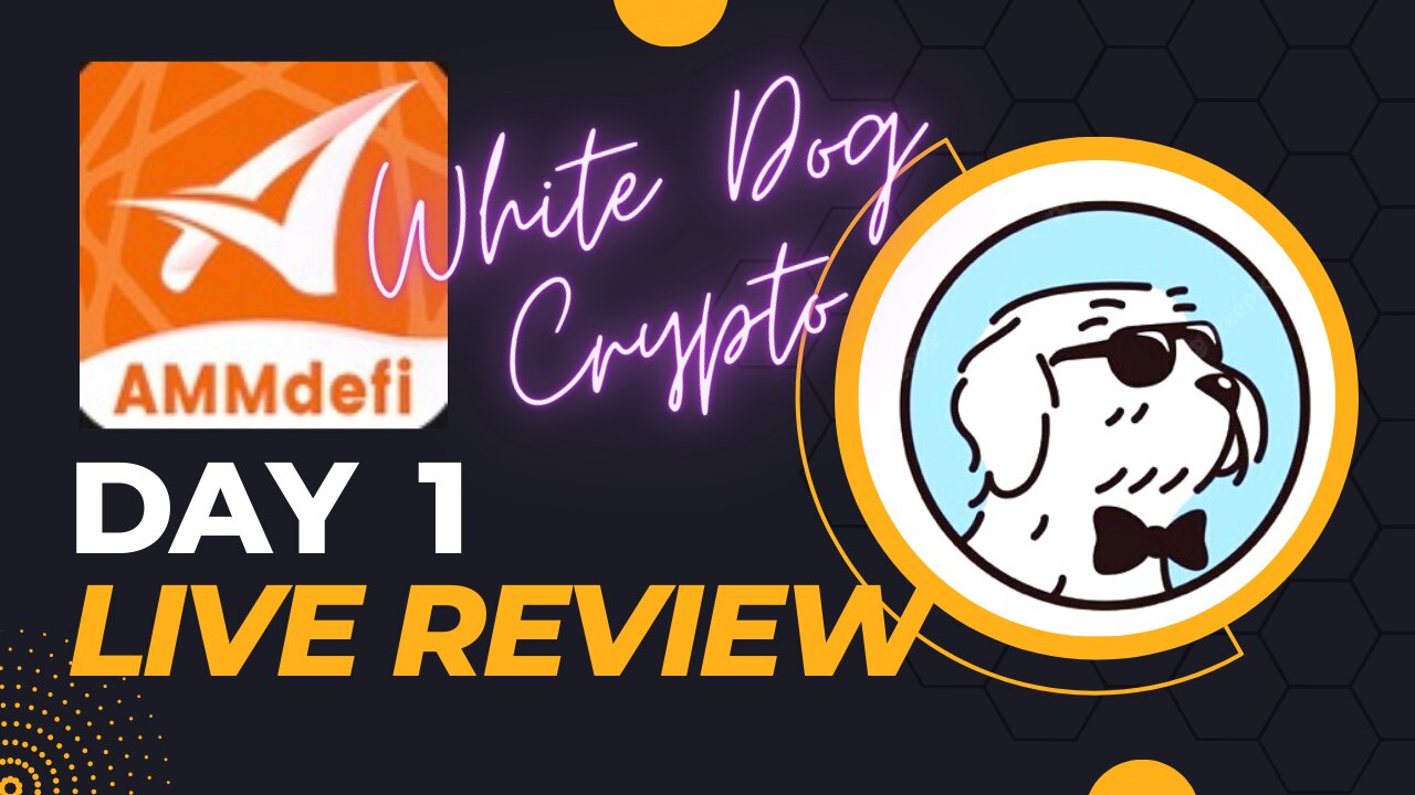 AMM Defi Day 1 - Update and live demonstration - White Dog Crypto