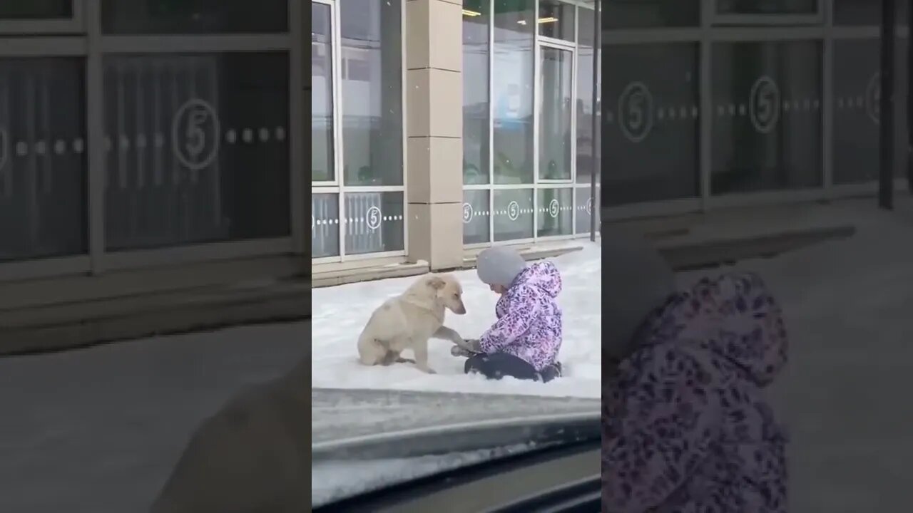 Pure love..🐕🐾🧒😍