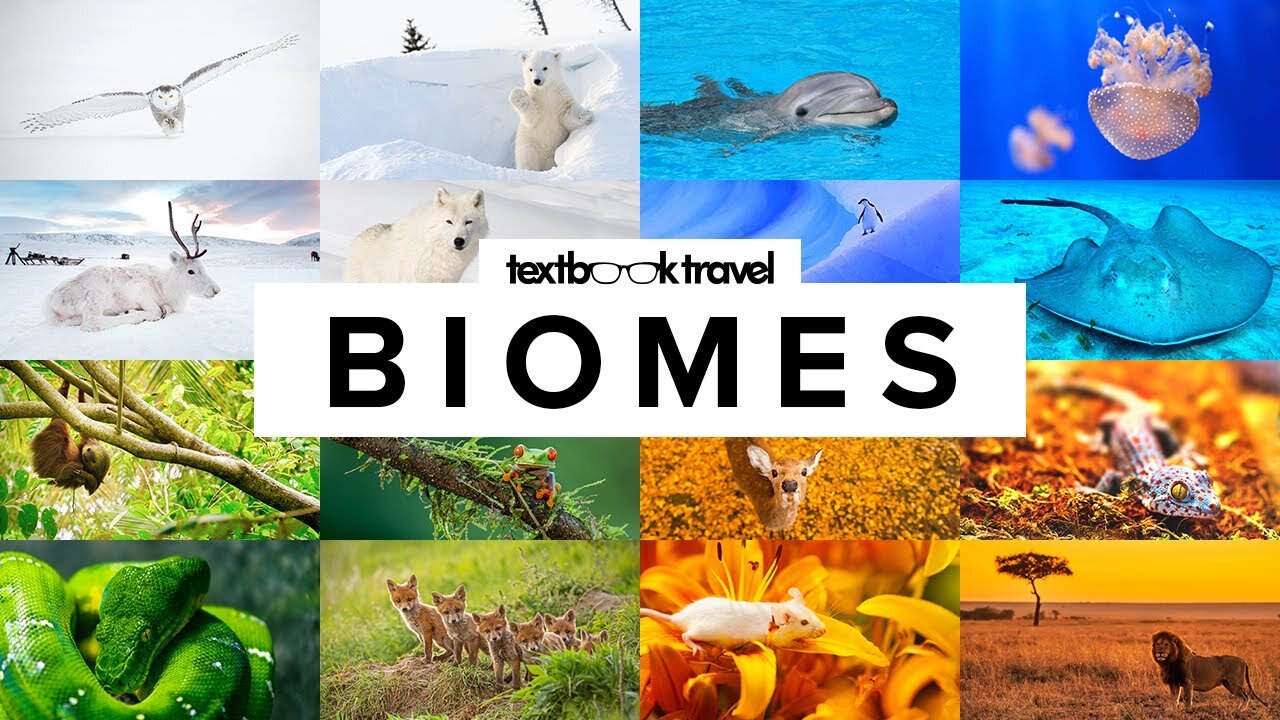 11 Types of Biomes and Their Animals (with Maps)