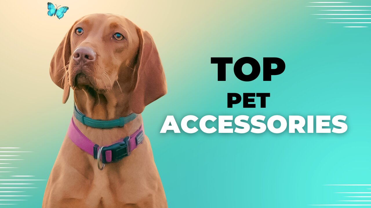 Best Accessorires For Pets/ cool gadgets ever for pets