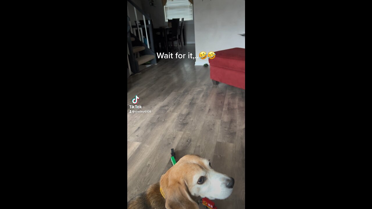 Playing catch
