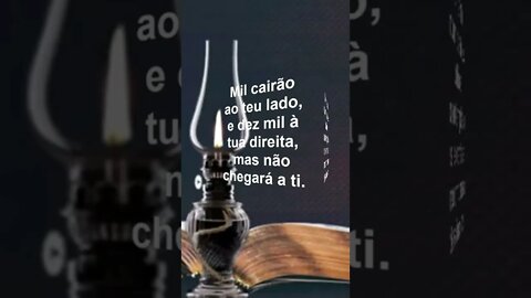 A Segurança Daquele que Se Refugia em Deus #ApalavradoDia