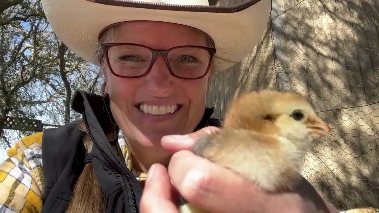 My Chicks!