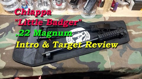 Chiappa .22 Mag Intro & Target Review.