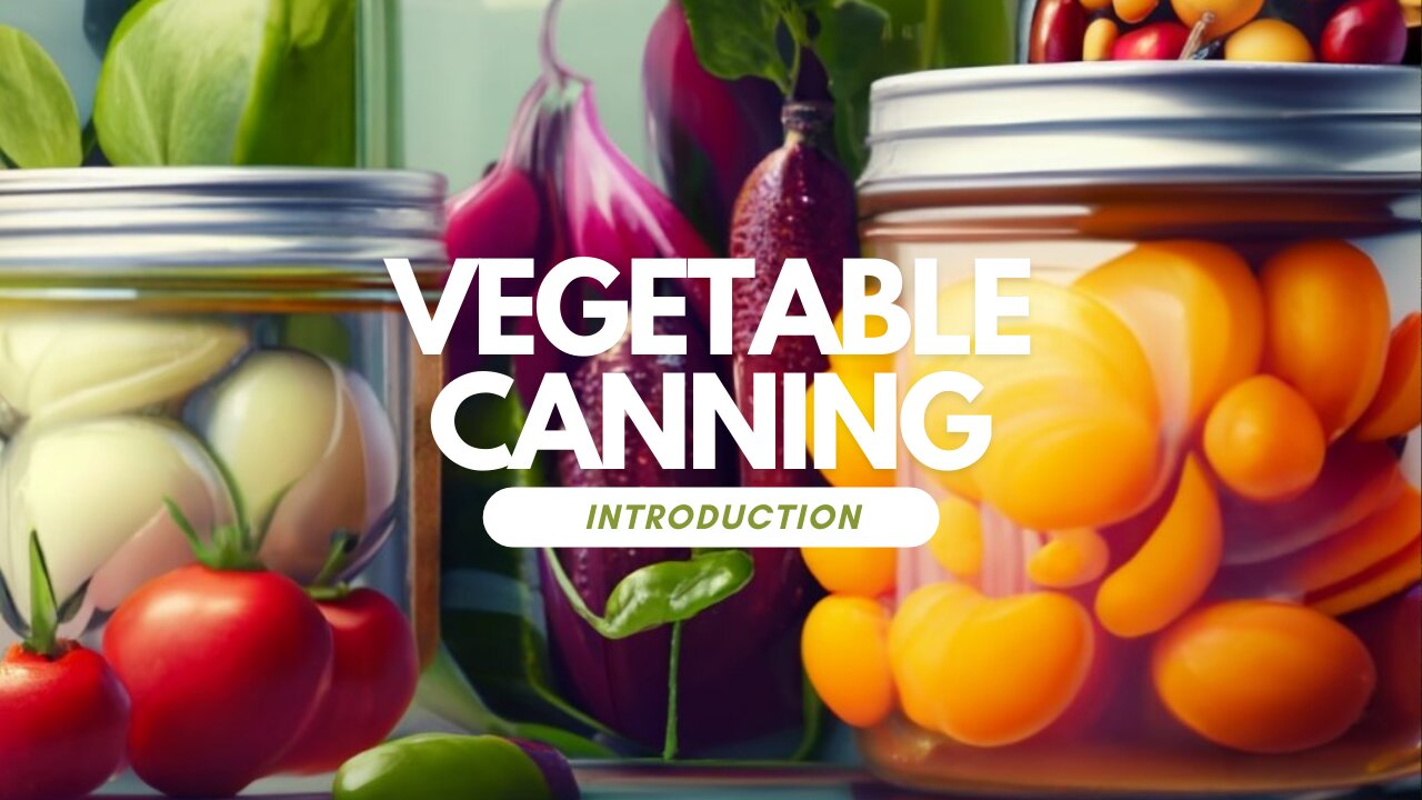 Canning 101: A Beginner’s Guide to Preserving Fresh Vegetables