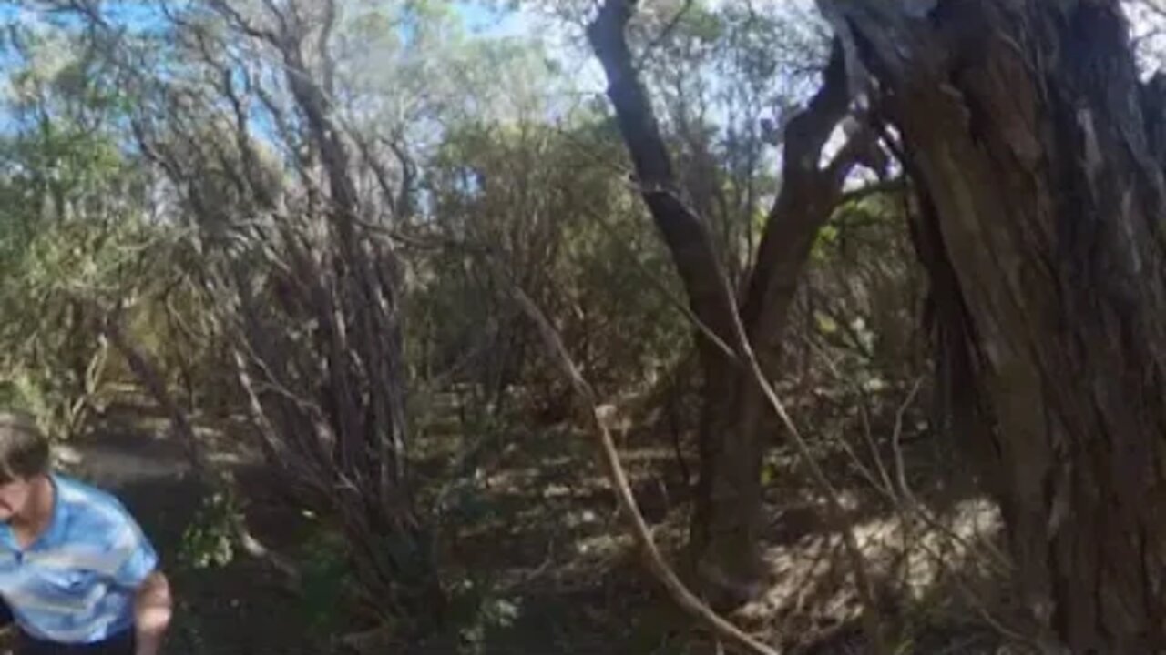 Secret Beach Mallacoota 360 video walking to the beach 29 August 2022