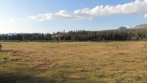 Yosemite National Park | Tuolumne Meadows