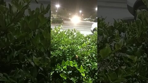 Gang Stalking brighting in the parking lot. THEY'RE harassing ME!