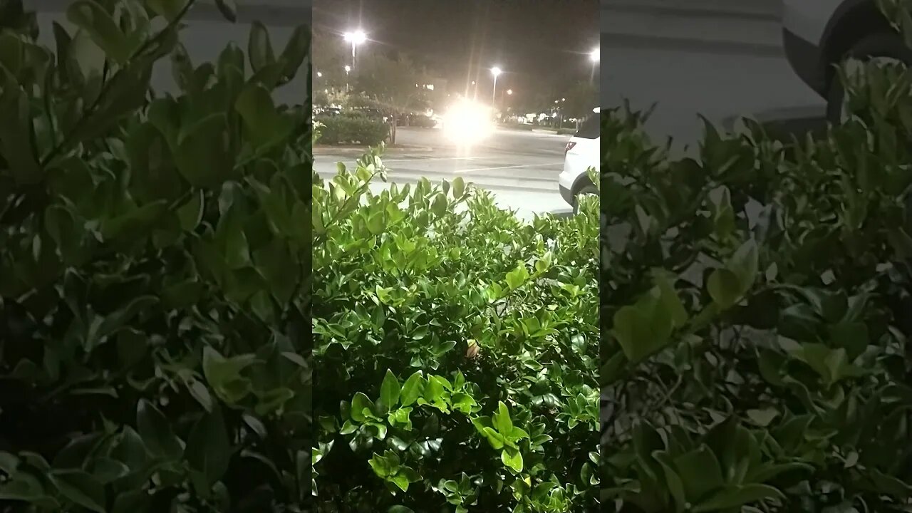 Gang Stalking brighting in the parking lot. THEY'RE harassing ME!