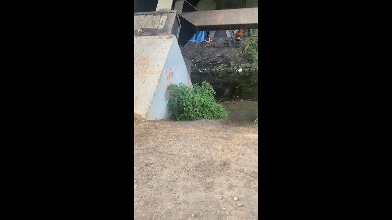 Homeless under the bridge.