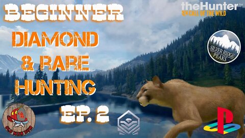 Beginner Diamond & Rare hunting Ep. 2 theHunter Call of the Wild