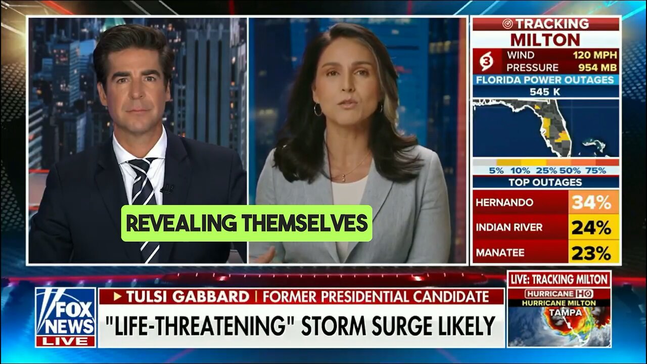 Tulsi Gabbard: ‘They're revealing themselves to be dictators’