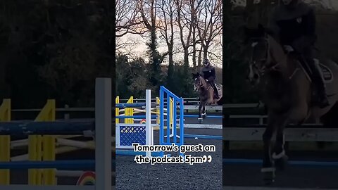 Out tomorrow 5pm #horses #horse #showjumping